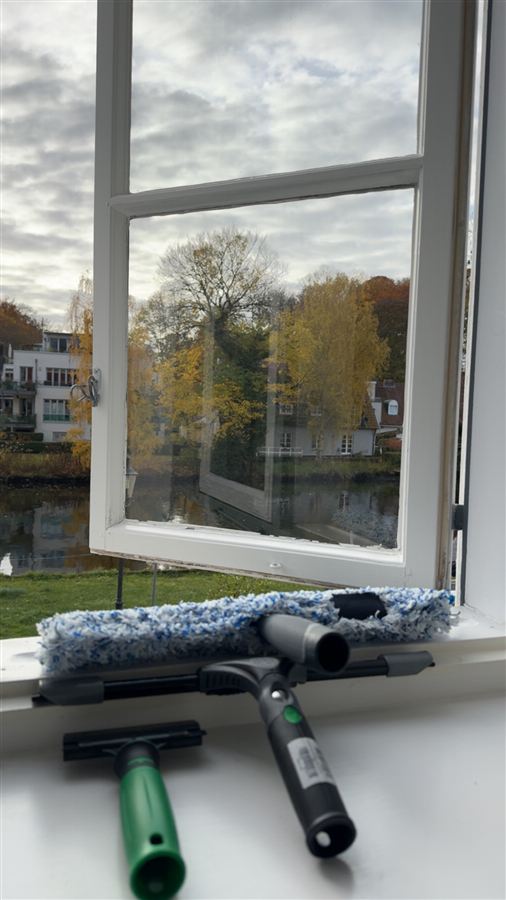 Blick durch ein frisch gereinigtes Fenster nach draußen