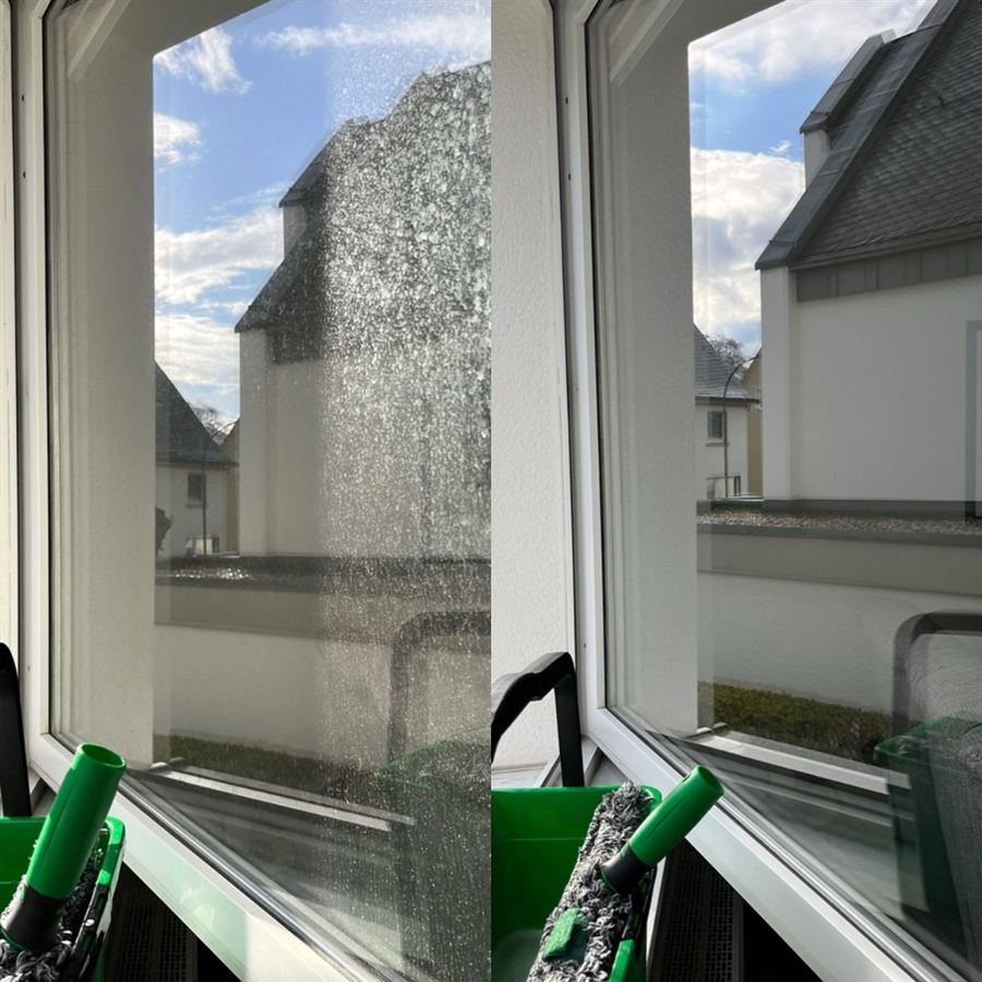 Vorher-Nachher-Vergleich einer Fensterreinigung mit Blick nach draußen